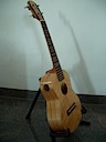 Makapili Tenor Ukulele